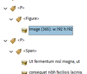 Figure and image in accessibility pane