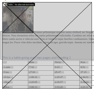 Things are selected that are not expected to be including the table and image