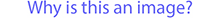 An image of some text, which is largely irrelevant, it's just asking 'Why is this an image?'